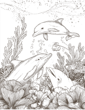 Free Dolphin Free Coloring Pages - 8