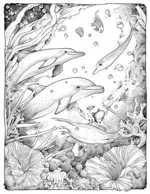 Free Dolphin Free Coloring Pages - 11