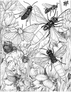 Free Ichneumon Coloring Pages - 11
