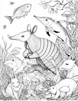 Free Armadillo Coloring Pages - 6