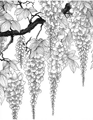 Free Wisteria Coloring Pages - 10