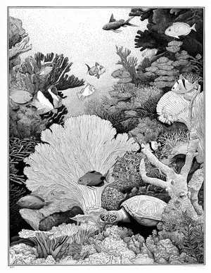 Free Coral Polyp Coloring Pages - 1
