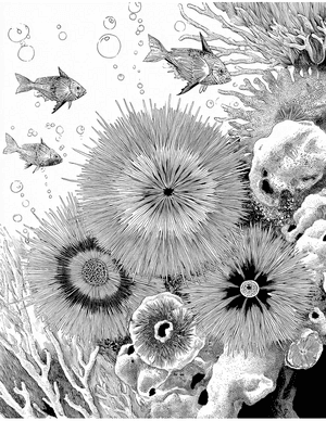Free Coral Polyp Coloring Pages - 5
