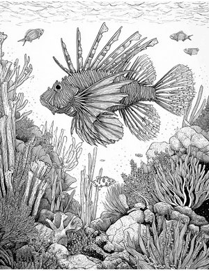 Free Lionfish Coloring Pages - 6