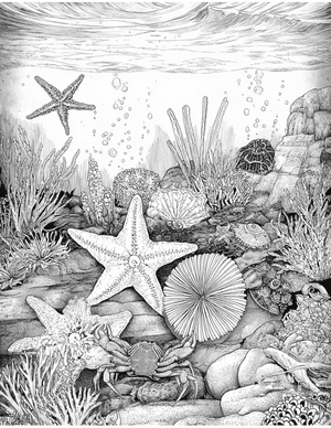 Free Tide Pool Coloring Pages - 1