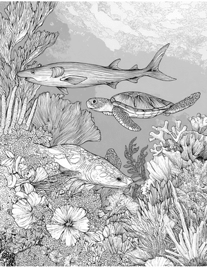 Free Remora Coloring Pages - 2