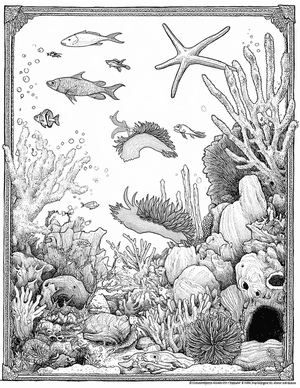 Free Nudibranch Coloring Pages - 3