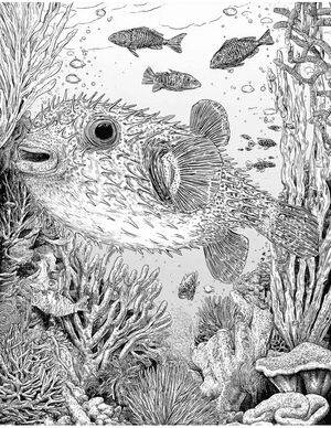 Free Pufferfish Coloring Pages - 5