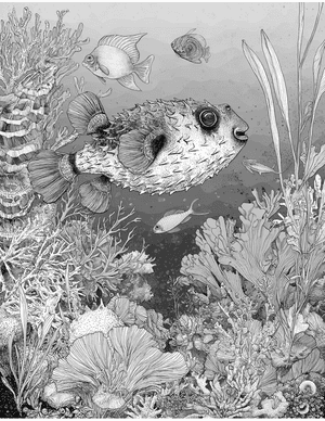 Free Pufferfish Coloring Pages - 10