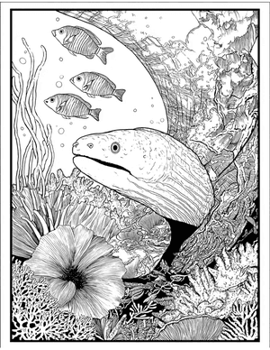 Free Moray Eel Coloring Pages - 11